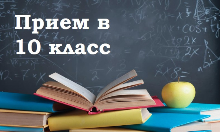 Результаты индивидуального отбора в 10-е профильные классы на 2025-2026 учебный год.